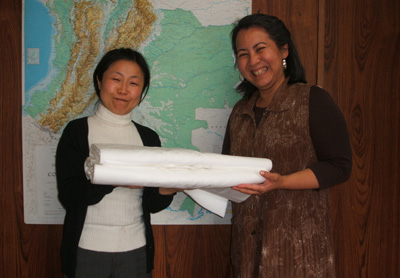 Embassy of the Republic of Colombia: W presented cotton sheeting for the painting.