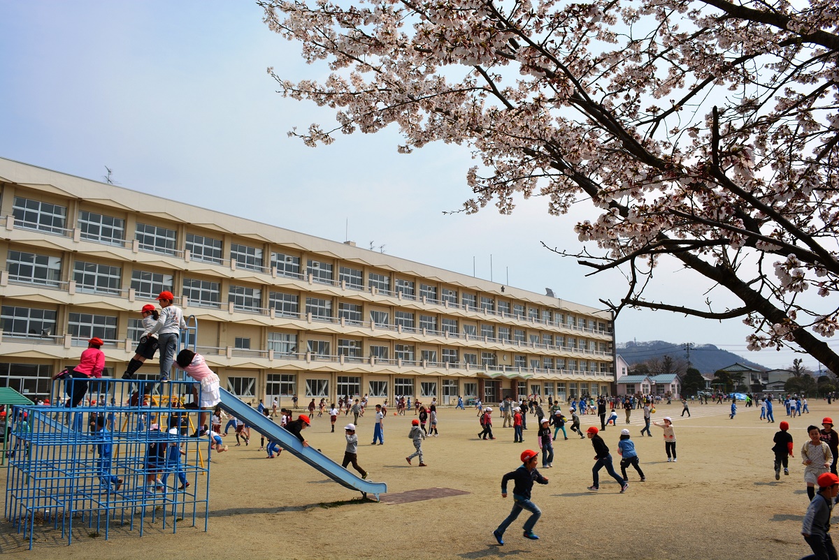 大河原小学校校舎と桜