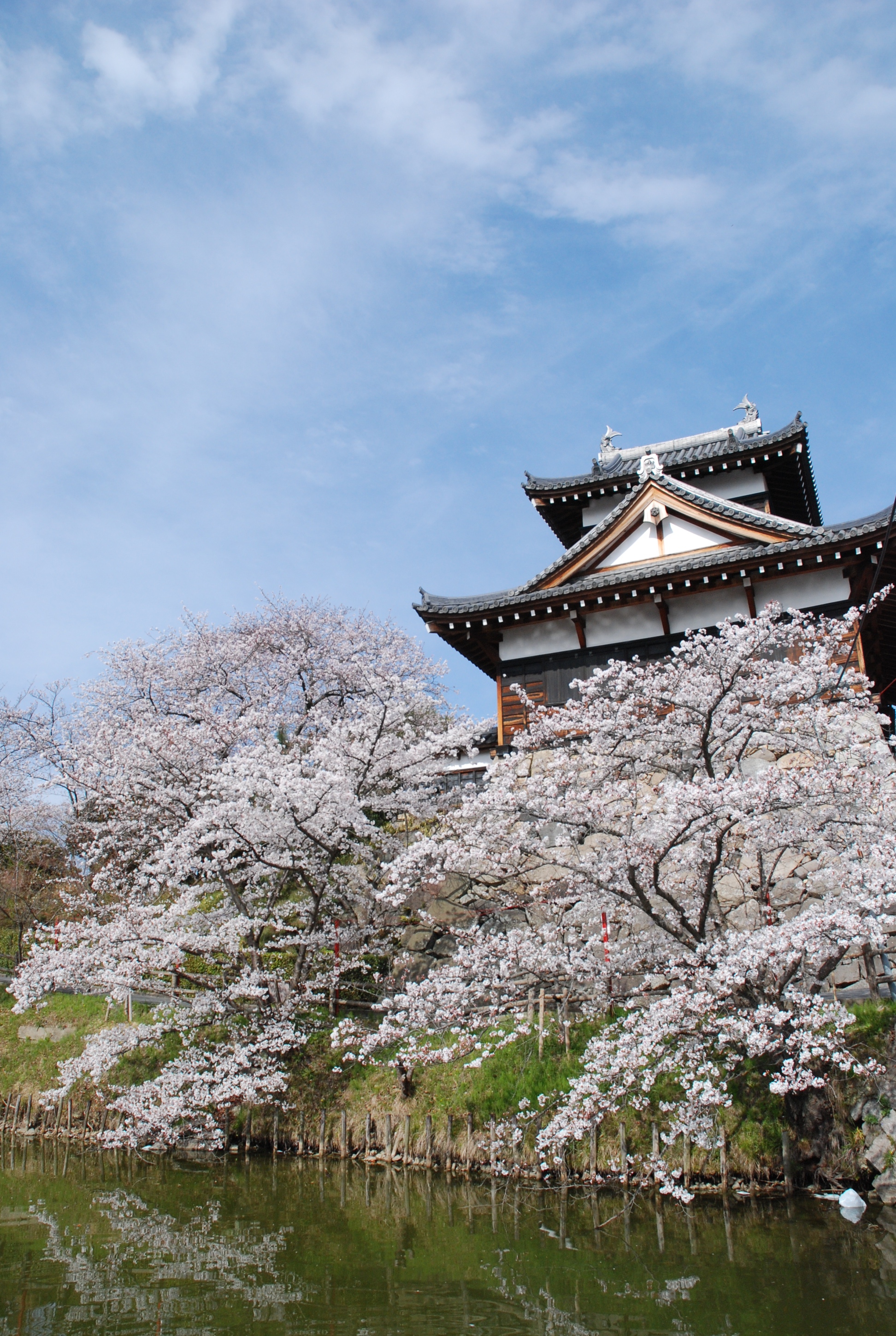 郡山城址 (2)