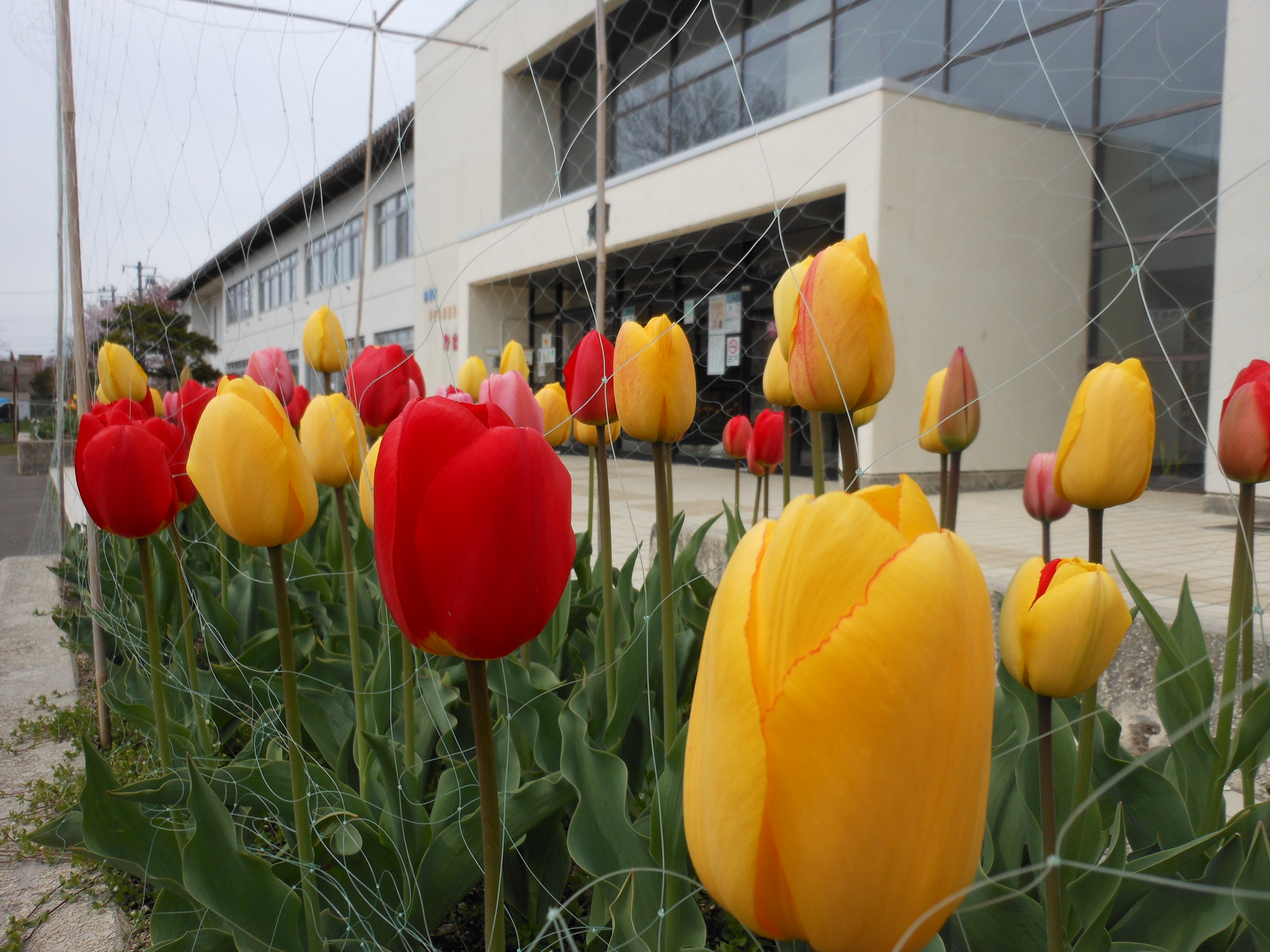 萩野小学校