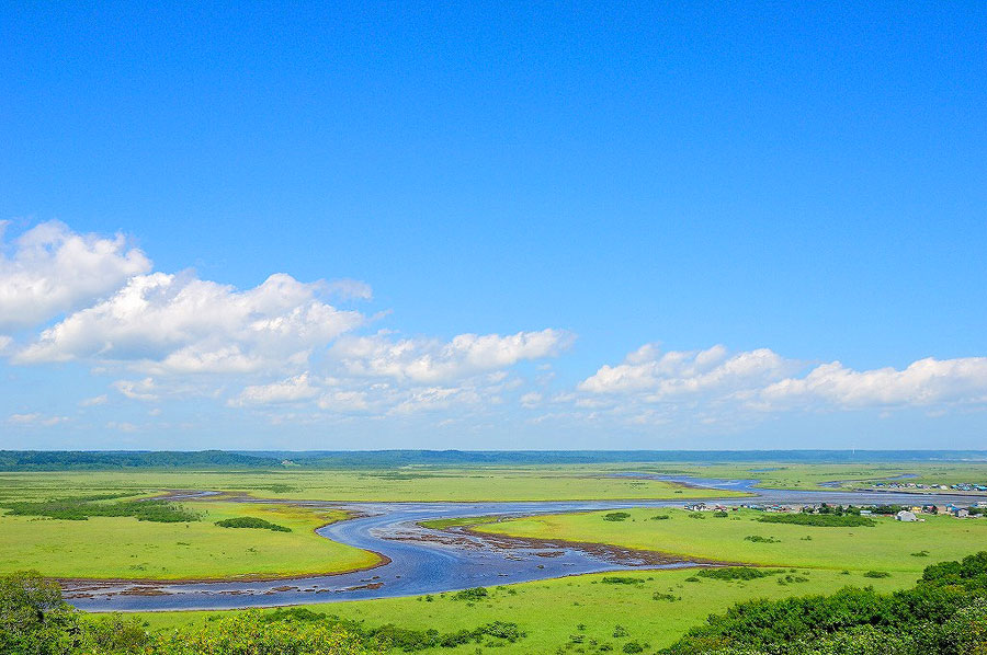 霧多布湿原